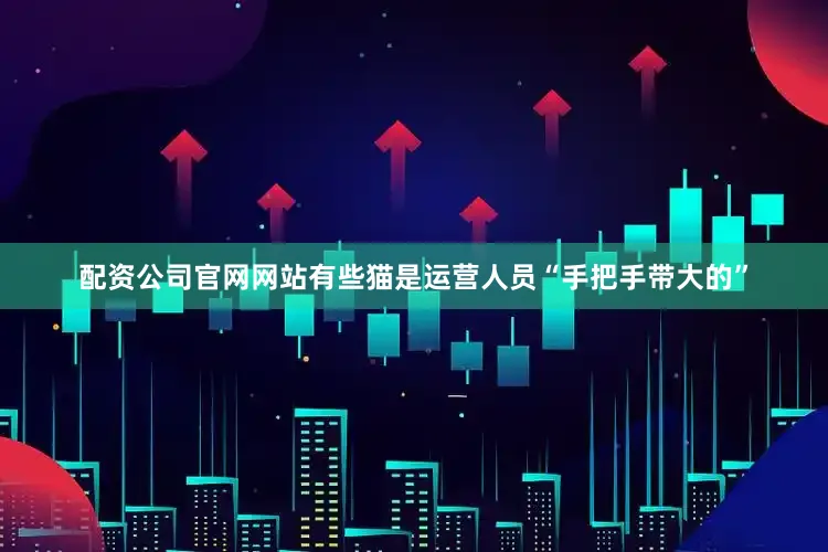 配资公司官网网站有些猫是运营人员“手把手带大的”