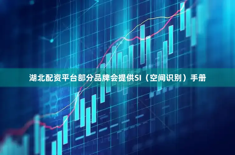 湖北配资平台部分品牌会提供SI（空间识别）手册