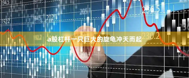 a股杠杆一只巨大的旋龟冲天而起