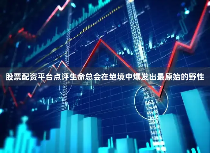 股票配资平台点评生命总会在绝境中爆发出最原始的野性