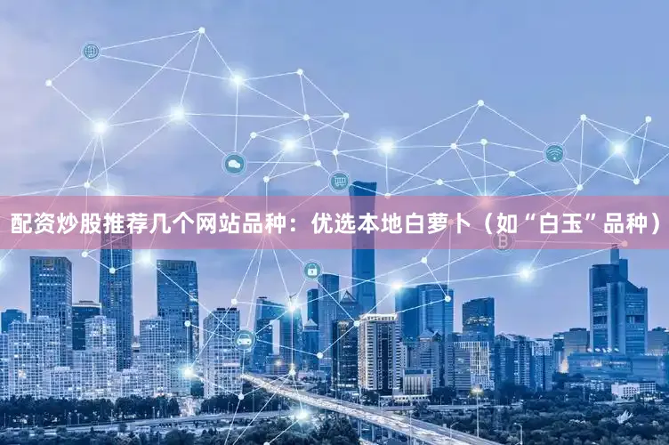 配资炒股推荐几个网站品种：优选本地白萝卜（如“白玉”品种）